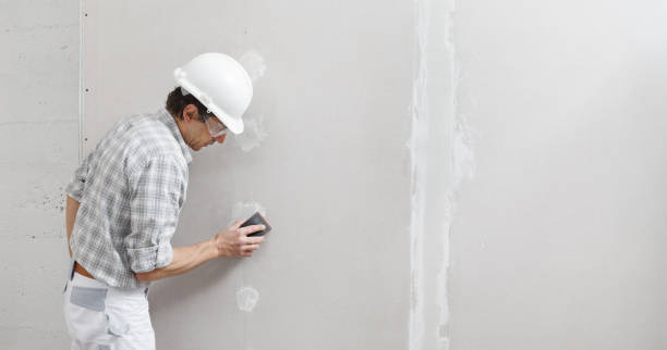 Professional Mold Removal in Boring, OR