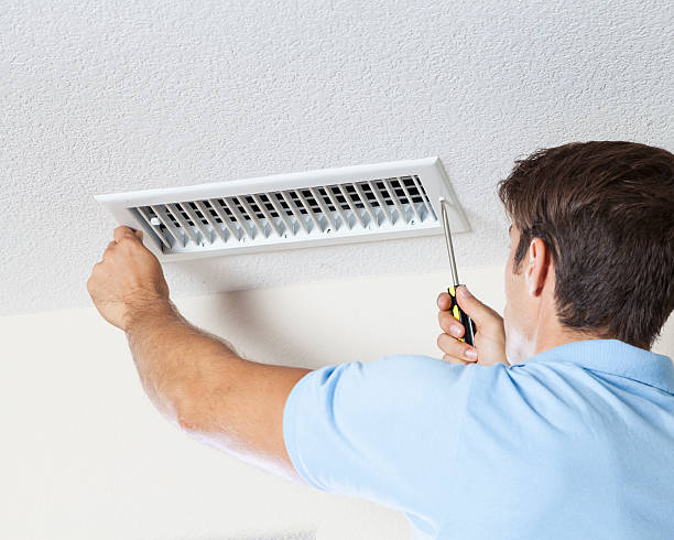 Best Attic Mold Removal  in Bing, OR